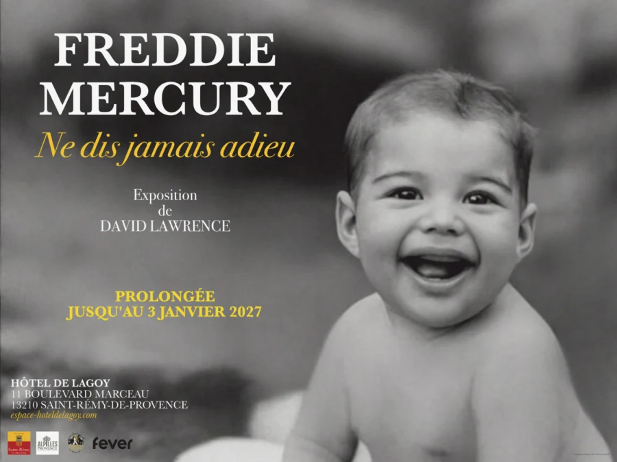 <strong><em>Actuellement :</em> Freddie Mercury, ne dis jamais adieu</strong>
