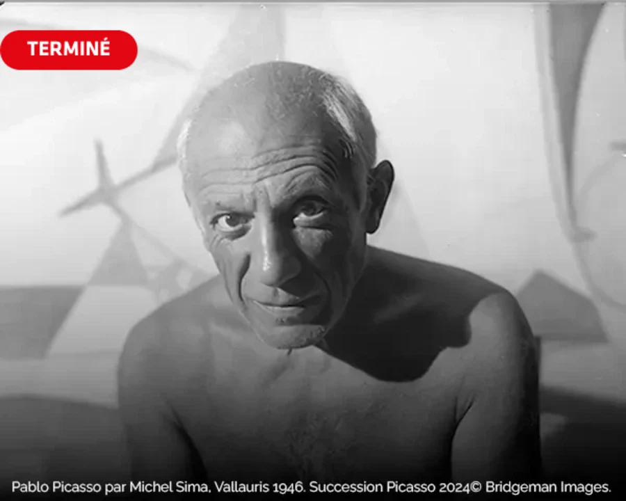 Pablo Picasso Rendez-Vous