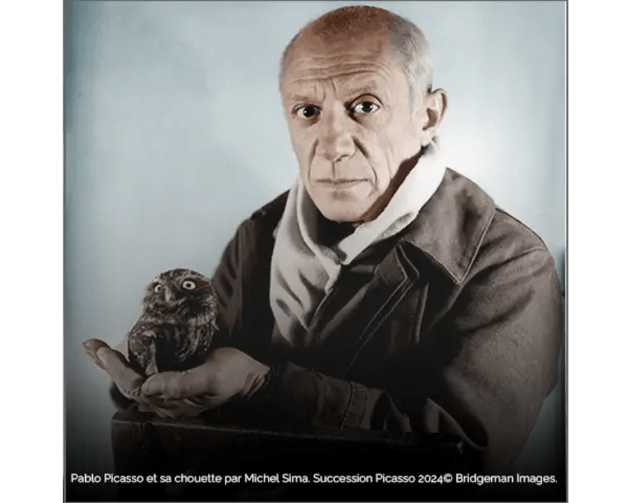 Pablo Picasso Hôtel de Lagoy