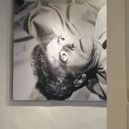 Hôtel de Lagoy Pablo Picasso