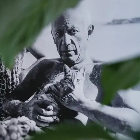 Hôtel de Lagoy Pablo Picasso