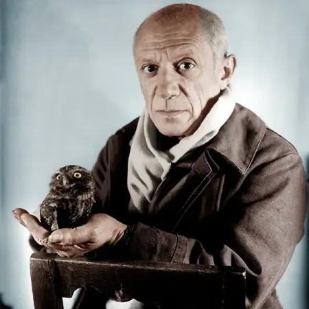 Hôtel de Lagoy : Pablo Picasso