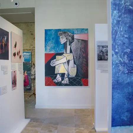 Hôtel de Lagoy Pablo Picasso