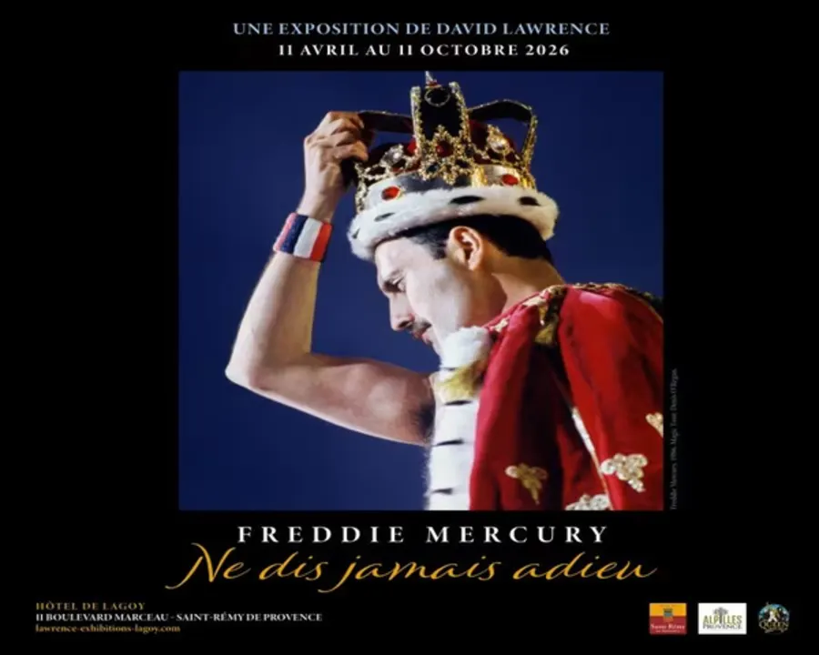 <strong>Freddie Mercury, ne dis jamais adieu</strong>
