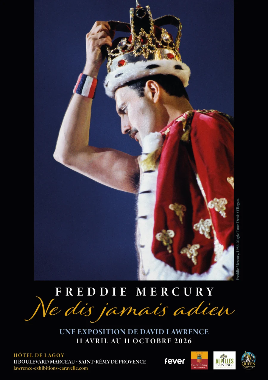 <strong><em>Actuellement :</em> Freddie Mercury, ne dis jamais adieu</strong>
